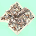 Paisley Silky Scarf